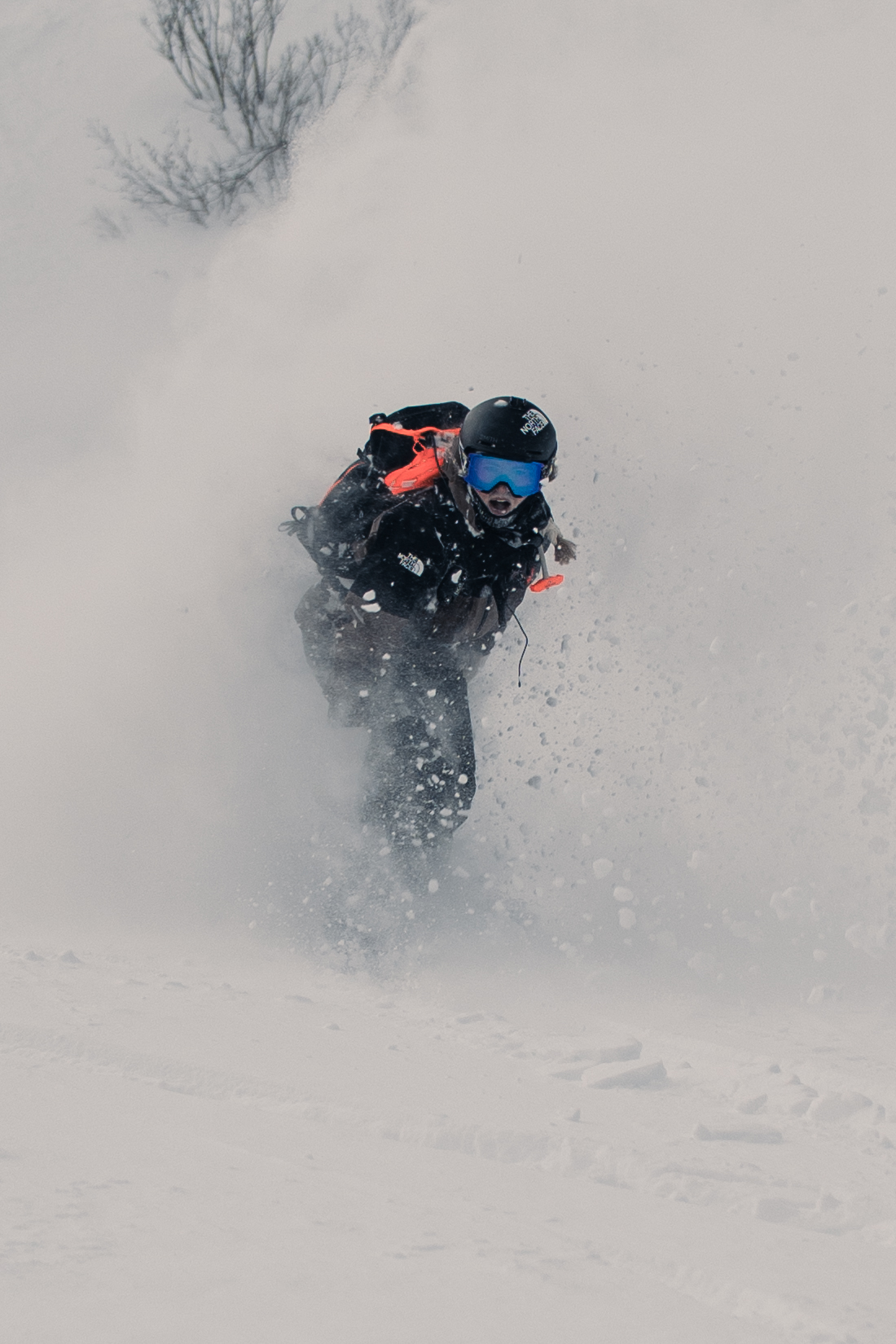 Snowboardeuse dans une gerbe de poudreuse